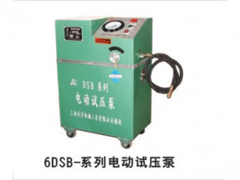 6DSB-系列球王会体育压泵